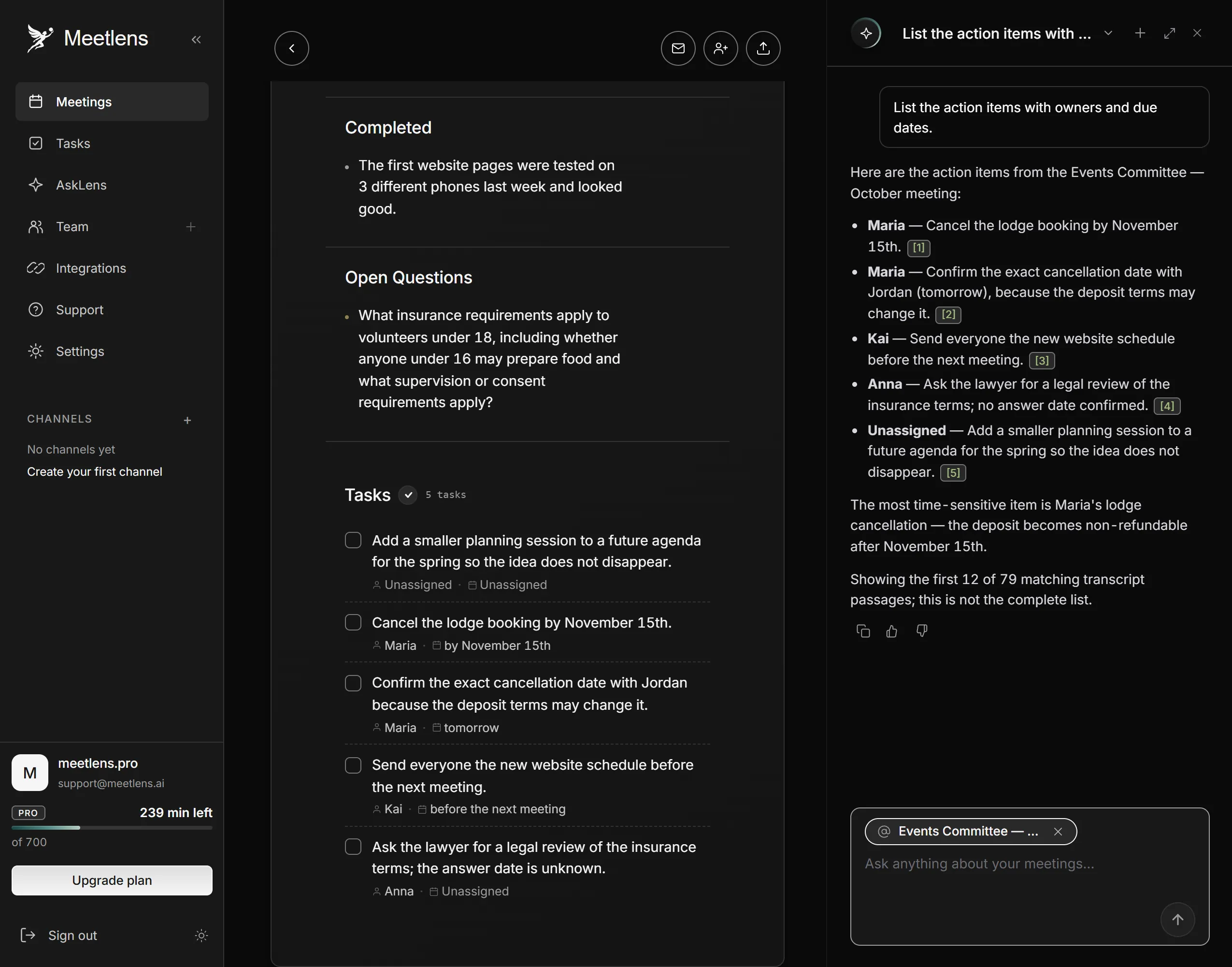 chat answer listing the action items with owners and due dates
