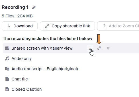 Zoom cloud recording files with the Download button
