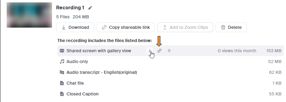 An opened Zoom cloud recording: Download, Copy shareable link and Delete buttons, and its files: shared screen with gallery view, audio only, audio transcript, chat file and closed caption
